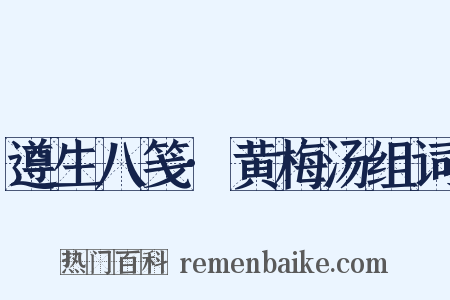 遵生八笺·黄梅汤组词是什么意思的图片